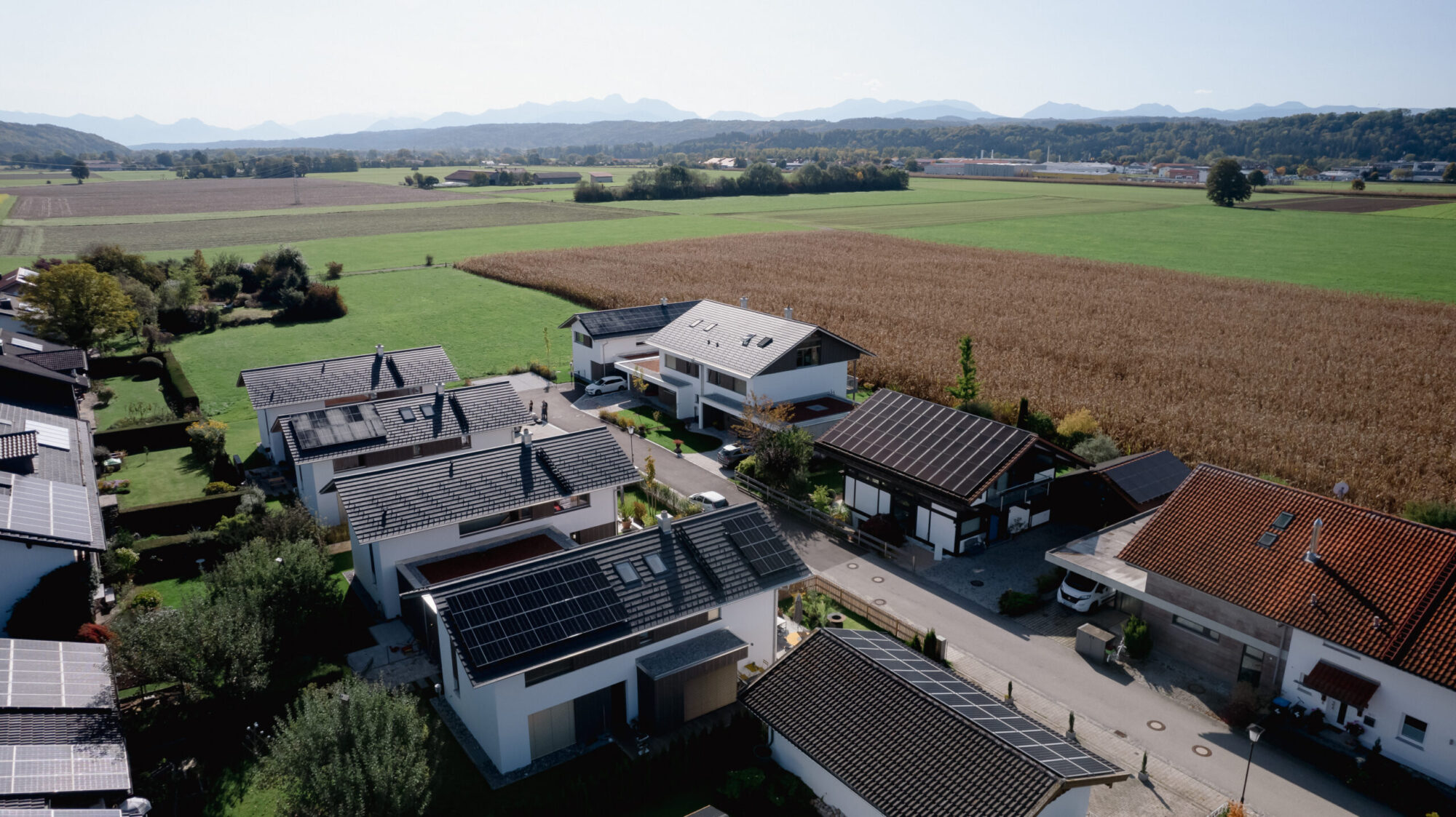 Immobilien